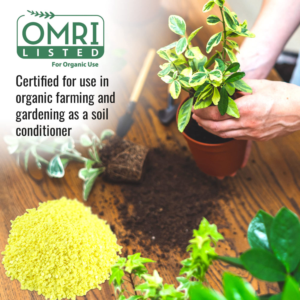 DL Wholesale sulfur for vegetables, fruits, and flowers growth.