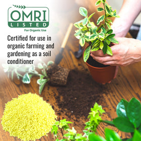 DL Wholesale sulfur for vegetables, fruits, and flowers growth.