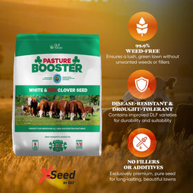 DLF Pasture Booster Clover Seed in lawn and pasture context promotes resilient, forage-ready turf.