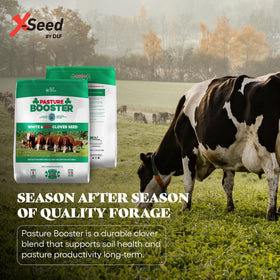 DLF clover seed blend promotes soil health with ground cover.