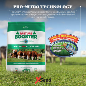 DLF Pasture Booster mix supports horses grazing on lush clover-rich pastures.