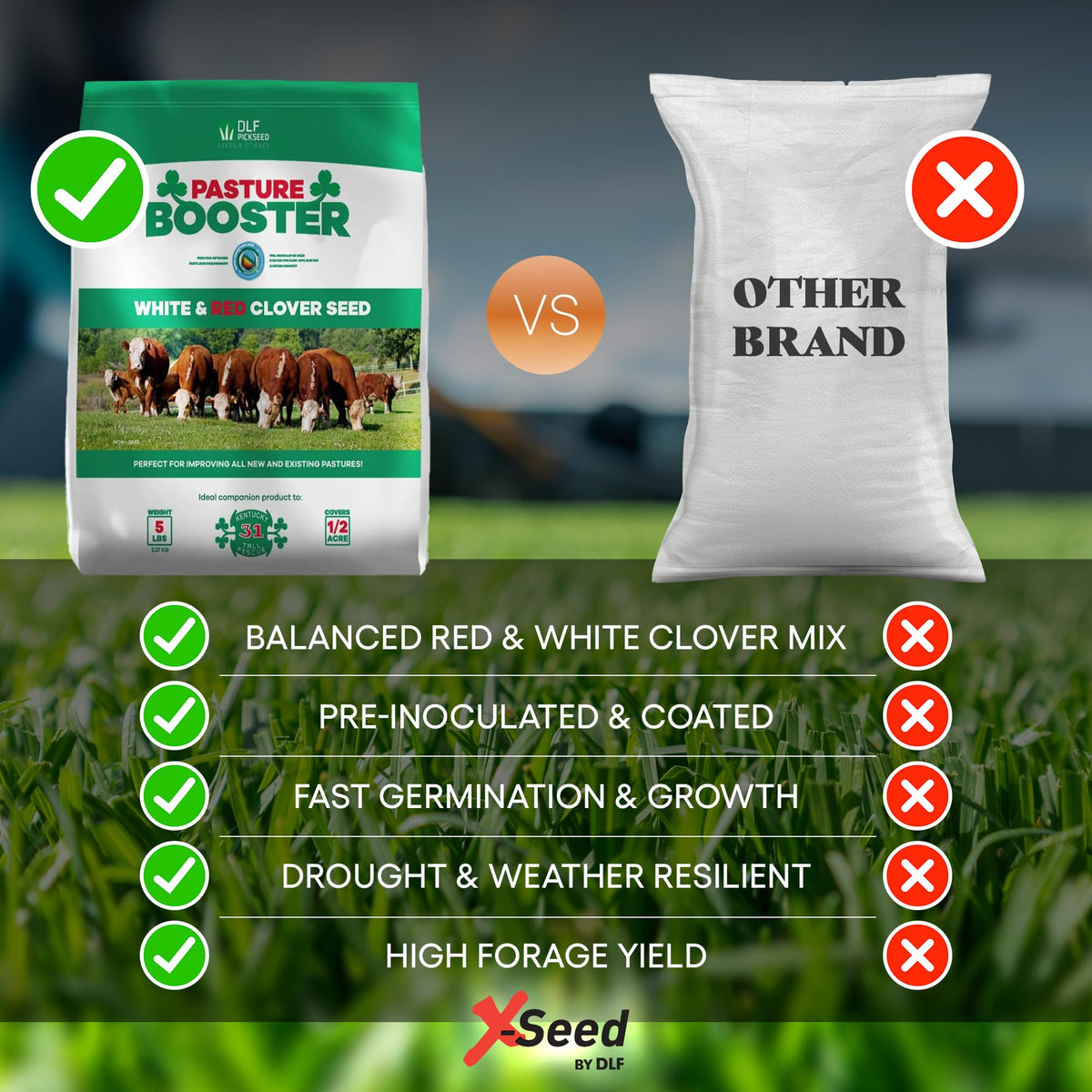 DLF white and red clover mix boosts forage quality and soil cover.