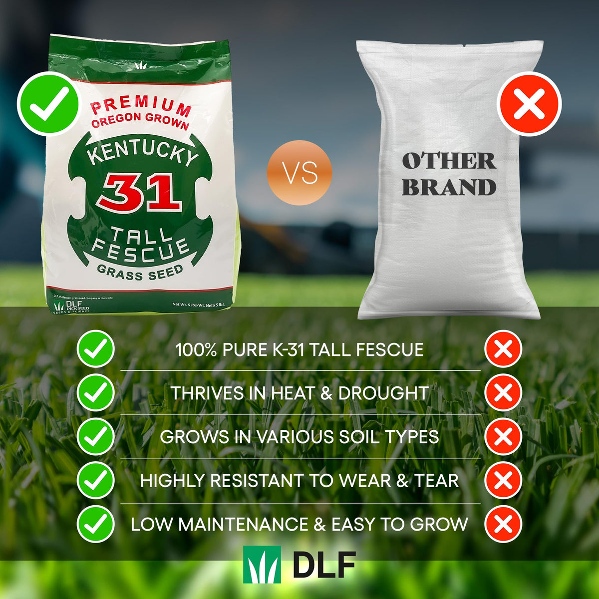 DLF X-Seed drought-tolerant grass improving year-round lawn resilience