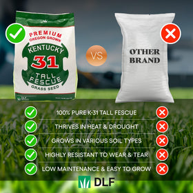 DLF X-Seed drought-tolerant grass improving year-round lawn resilience