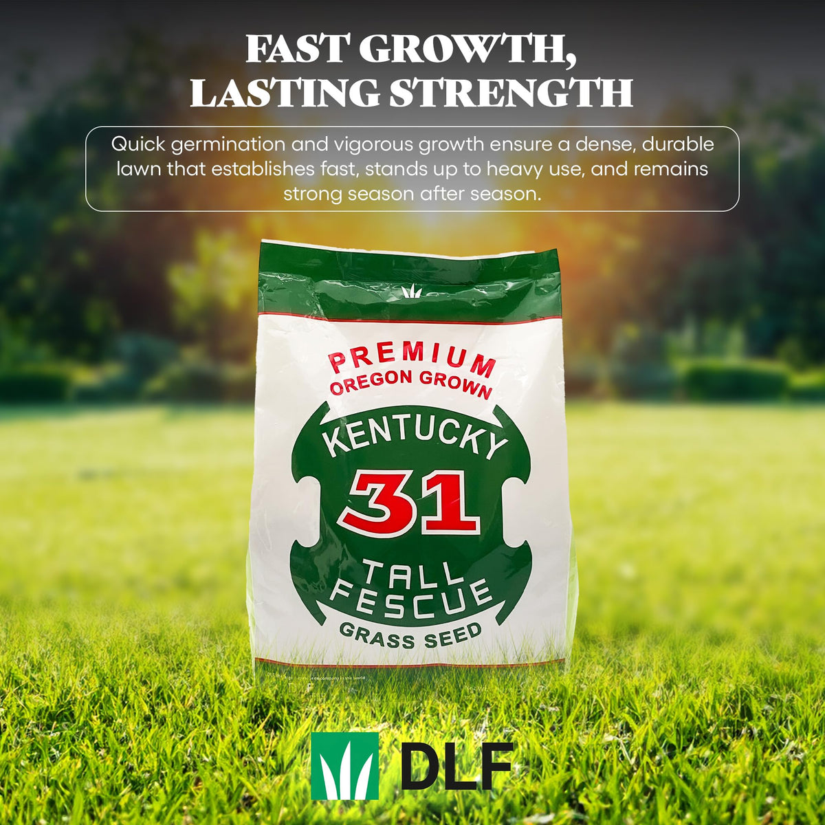 DLF X-Seed high-traffic lawn ready for play areas and durable performance