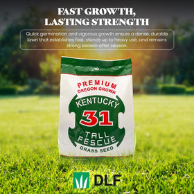DLF X-Seed high-traffic lawn ready for play areas and durable performance
