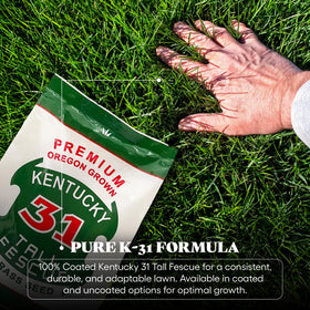 DLF X-Seed moisture-coated seeds close-up for quick germination