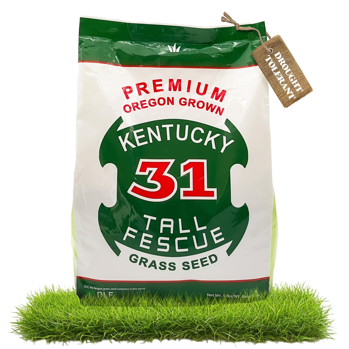 DLF X-Seed Kentucky 31 tall fescue seed bag for versatile lawn prep