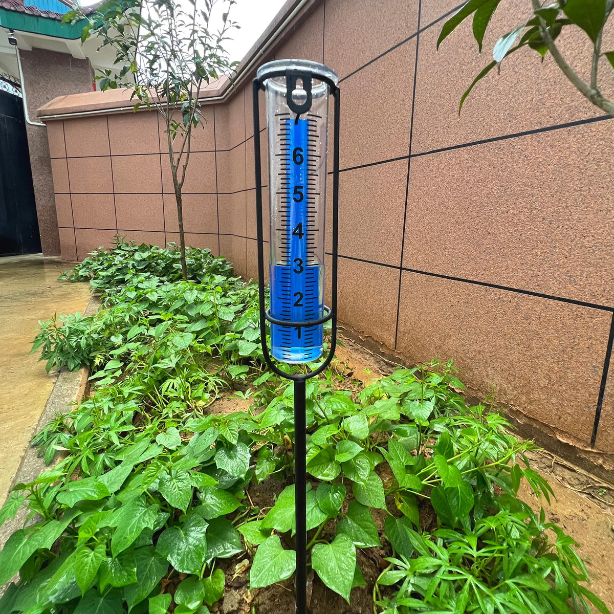 DLUCKY rain gauge with blue-print readout aids easy data reading