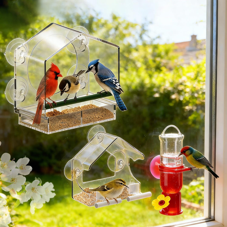Dmcohat large window bird feeder with high capacity for multiple birds and fewer refills.
