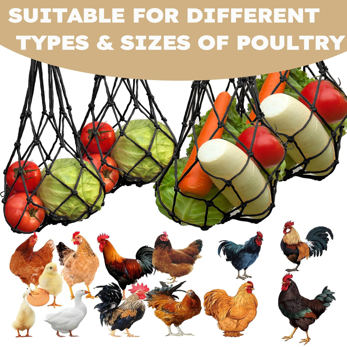 DMIMIA coop foraging toy and reusable feeder supports natural feeding