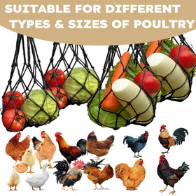 DMIMIA coop foraging toy and reusable feeder supports natural feeding