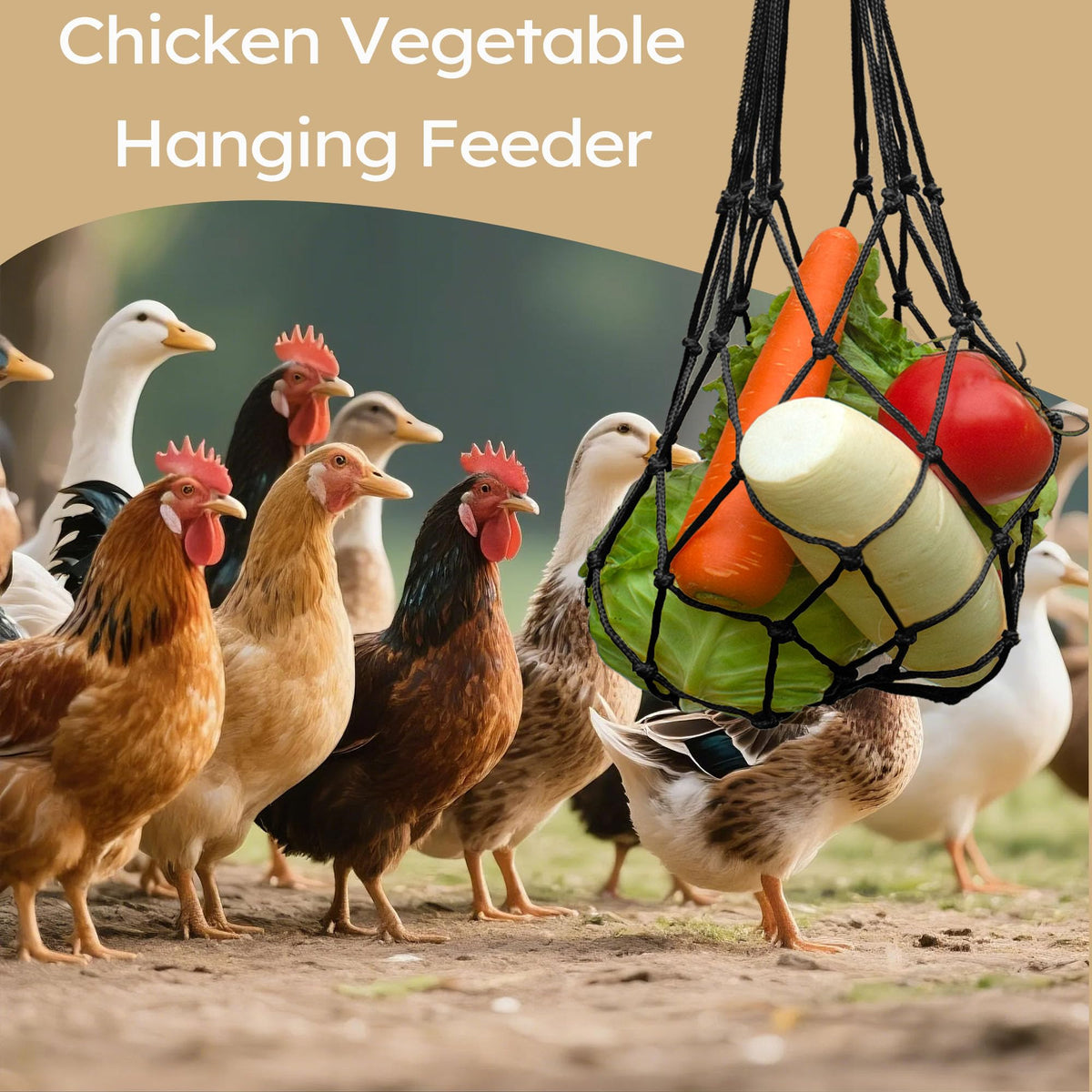 DMIMIA hanging feeder hook shown in coop setup for easy food access