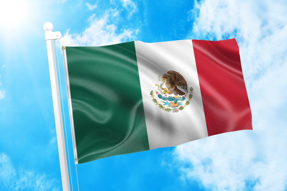 DMSE flag close-up shows 100D polyester texture and bright color saturation