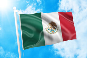 DMSE flag close-up shows 100D polyester texture and bright color saturation