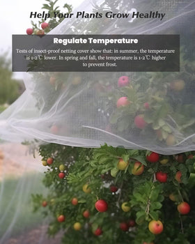 Dmyifan pest barrier net for vegetables shields plants from pests while preserving airflow
