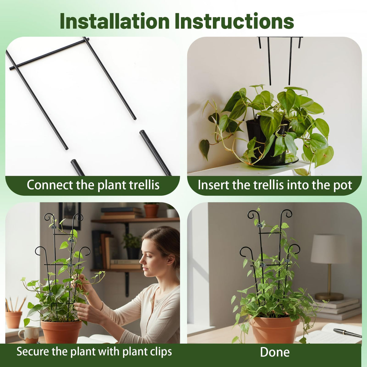 Includes 50 plant clips to hold vines securely without damage.