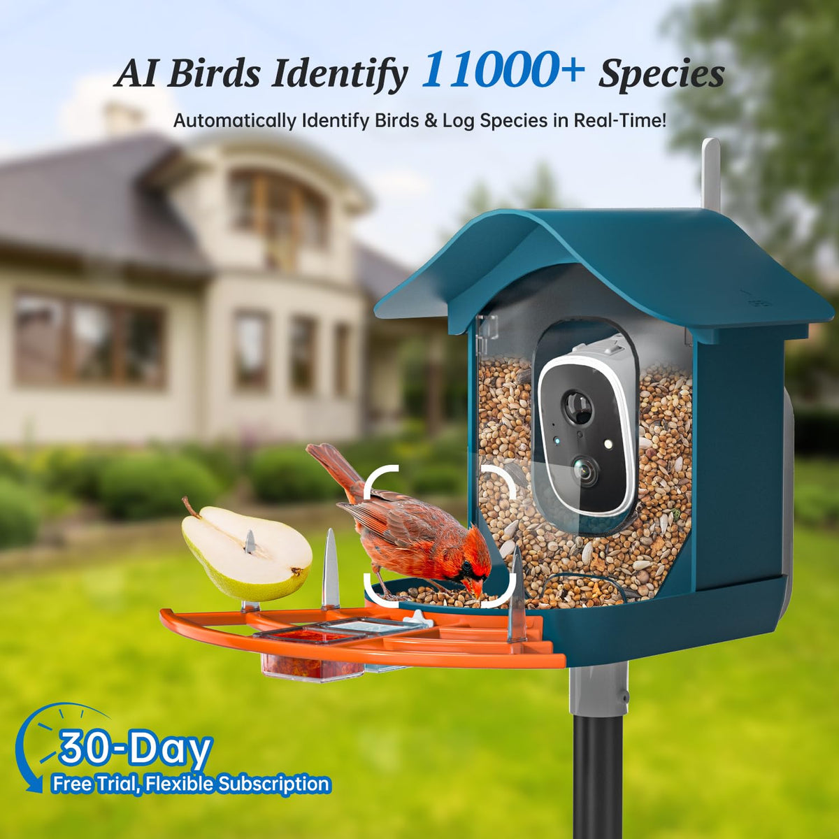 DOCOON bird feeder garden setup for easy home viewing
