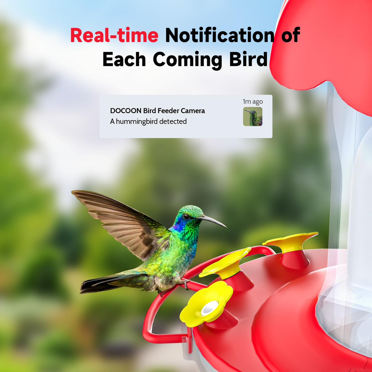 DOCOON hummingbird feeder camera with 3x zoom for close-up details.