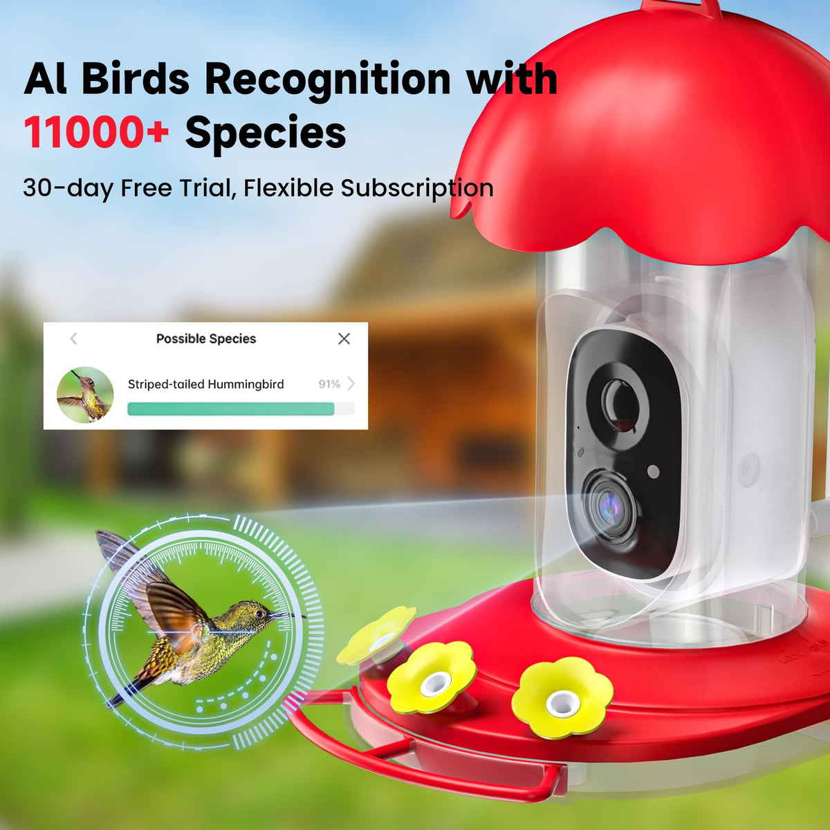 DOCOON hummingbird feeder camera night vision in 2K color for day and night observation.