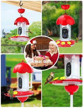 DOCOON hummingbird feeder camera instant notifications for quick wildlife updates.