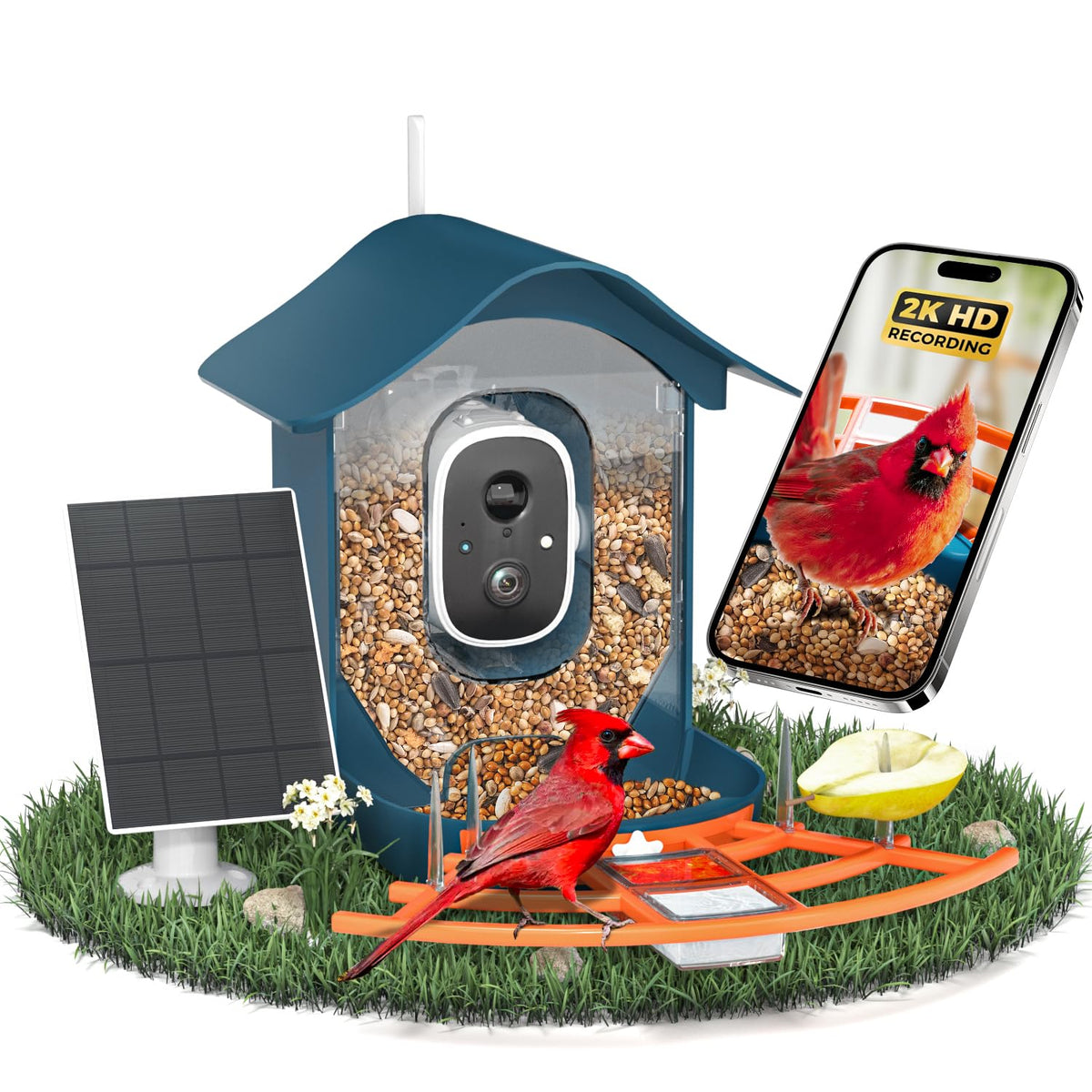 DOCOON smart bird feeder camera with 2K night vision for clear birds day and night