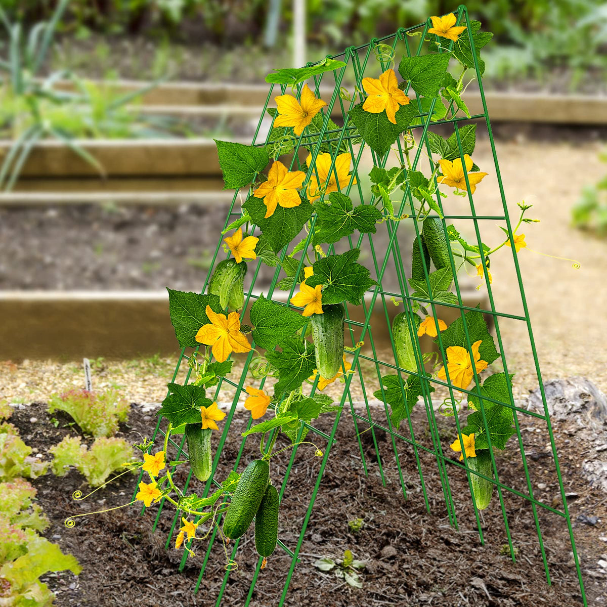 DoCred A-frame trellis side view highlights durable PVC-coated steel construction