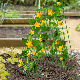 DoCred A-frame trellis side view highlights durable PVC-coated steel construction