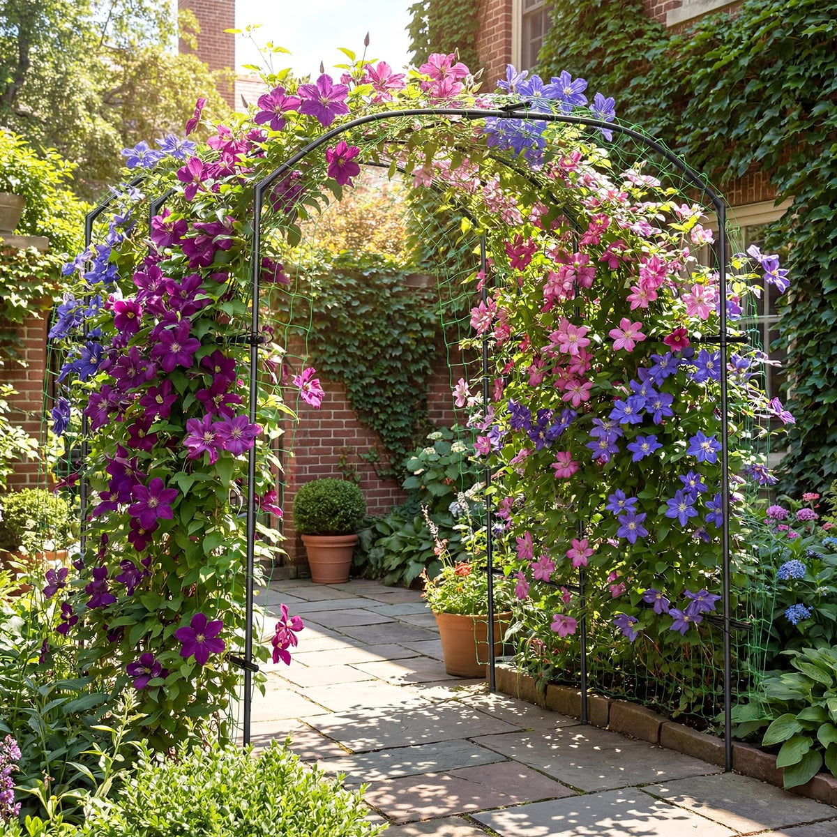 DoCred arch supports grapes and other climbers for vertical growth