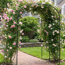 DoCred arch supports climbing plants for a layered garden display.