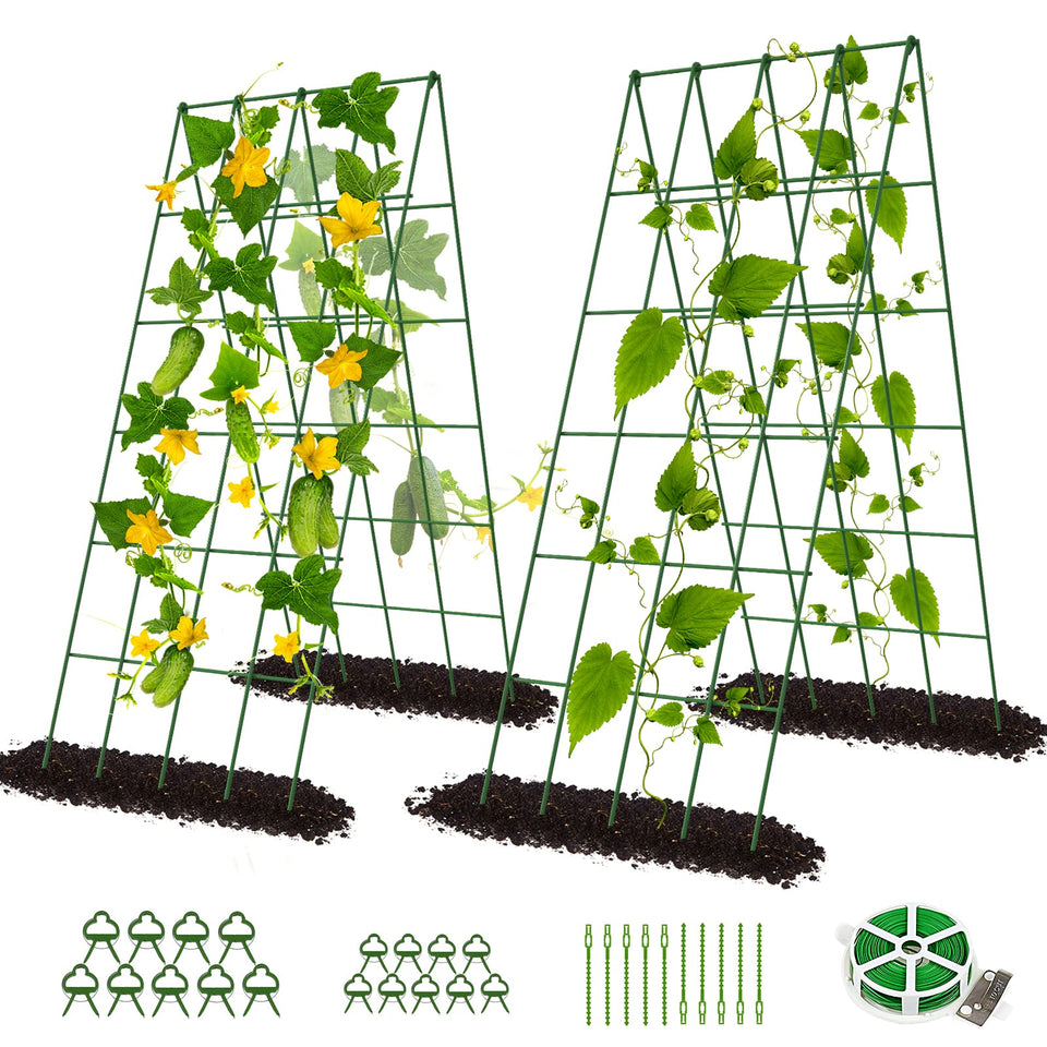 DoCred cucumber trellis foldable A-frame supports dual-sided growth for healthier vines