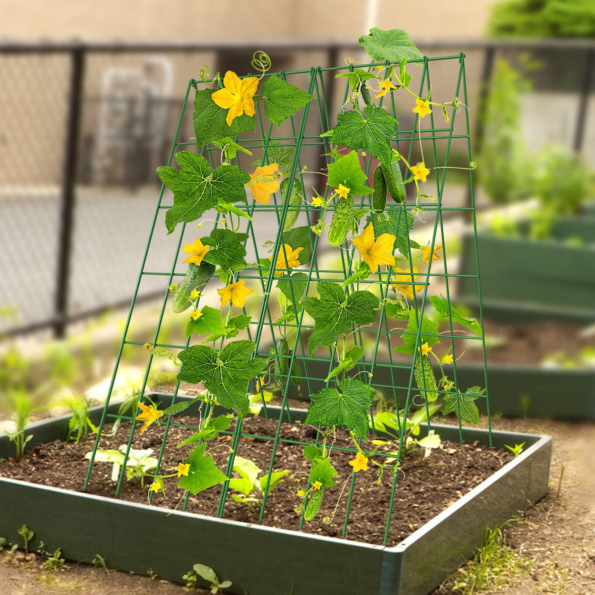 DoCred easy-store folded trellis simplifies winter storage