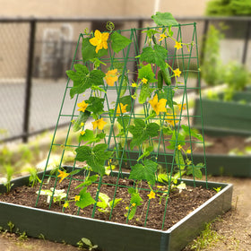 DoCred easy-store folded trellis simplifies winter storage