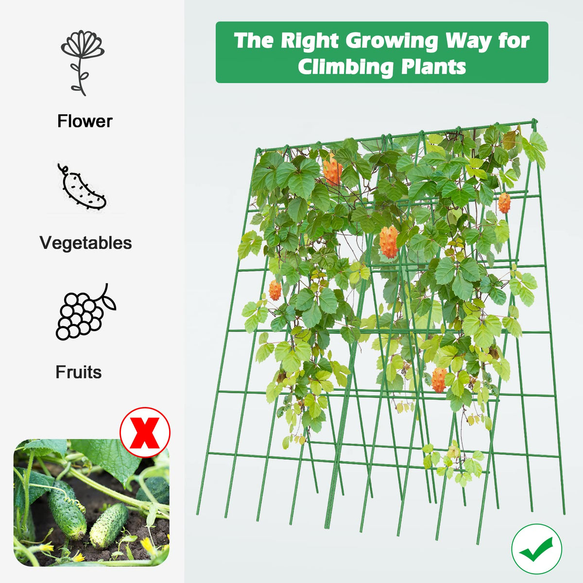 DoCred garden trellis elevates cucumbers and peas with tidy rows