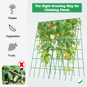 DoCred garden trellis elevates cucumbers and peas with tidy rows