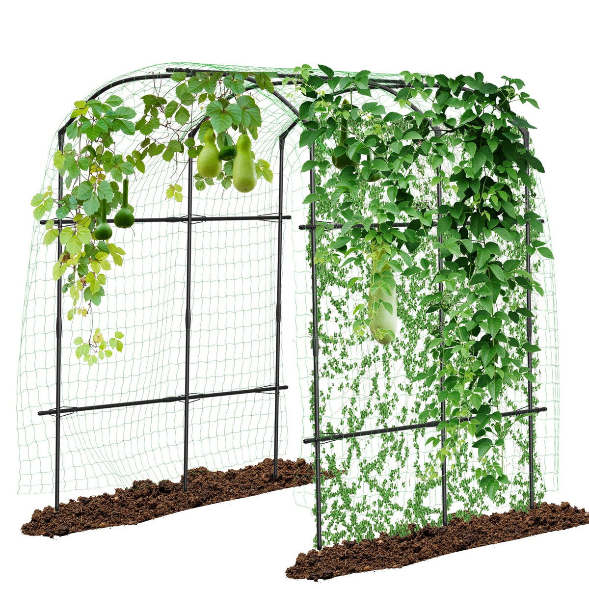 DoCred tall garden arch front view welcoming climbing vines