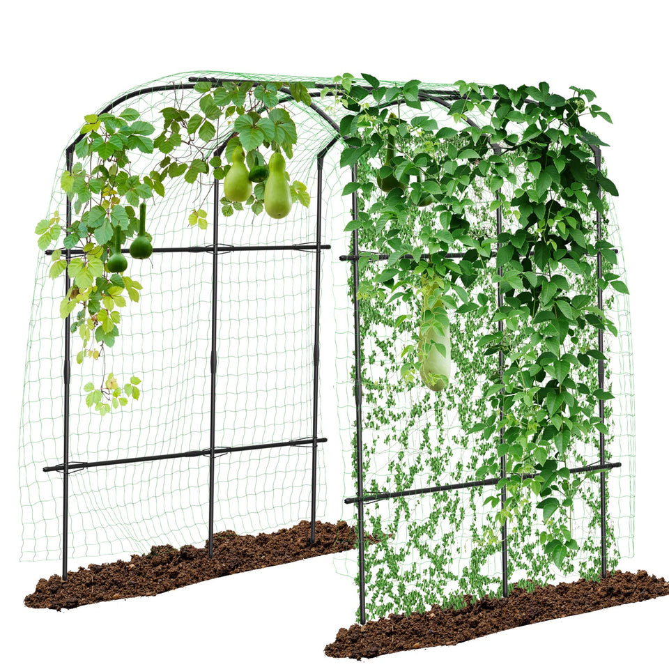 DoCred tall garden arch front view welcoming climbing vines