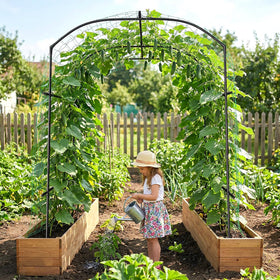 DoCred tall garden arch side view showing sturdy, durable frame