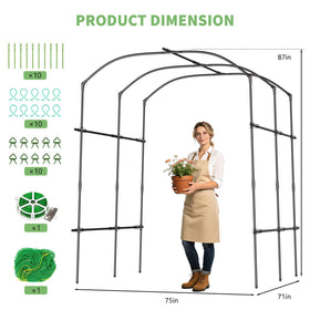 DoCred vertical gardening setup demonstrates space-saving arch for vines