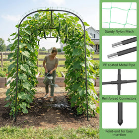 DoCred vertical gardening arch saves space and supports growth.