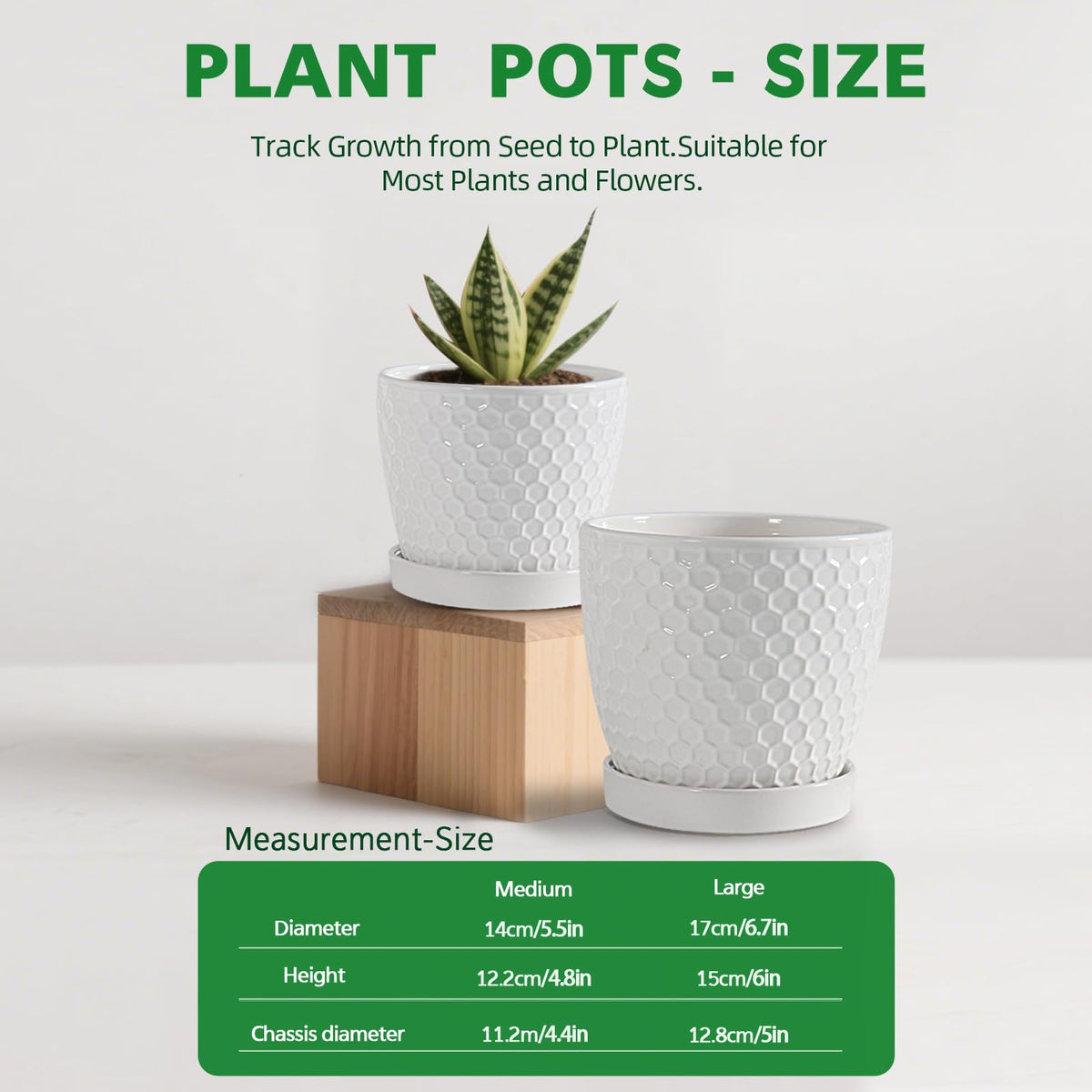 Docrin packaging keeps pots safe during shipping with foam and sturdy cardboard.