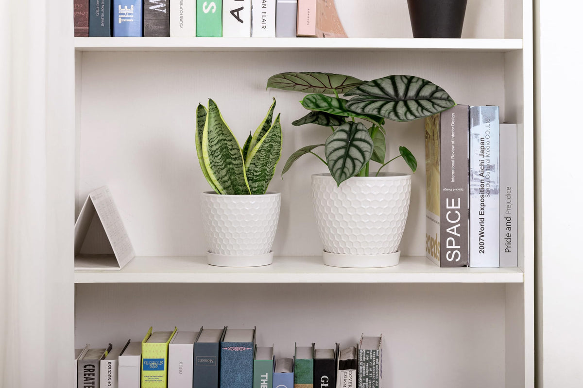 Docrin honeycomb design adds contemporary flair to any room.