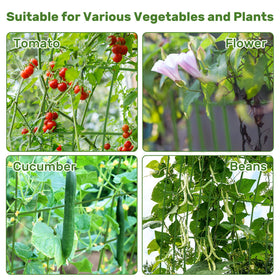 DOEWORKS versatile support for cucumbers, beans, tomatoes, and flowering vines
