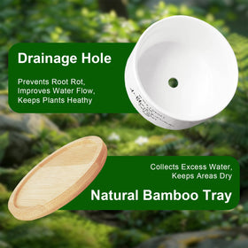 DOFAFALA planter close-up shows ceramic texture and lasting durability for long-lasting décor.