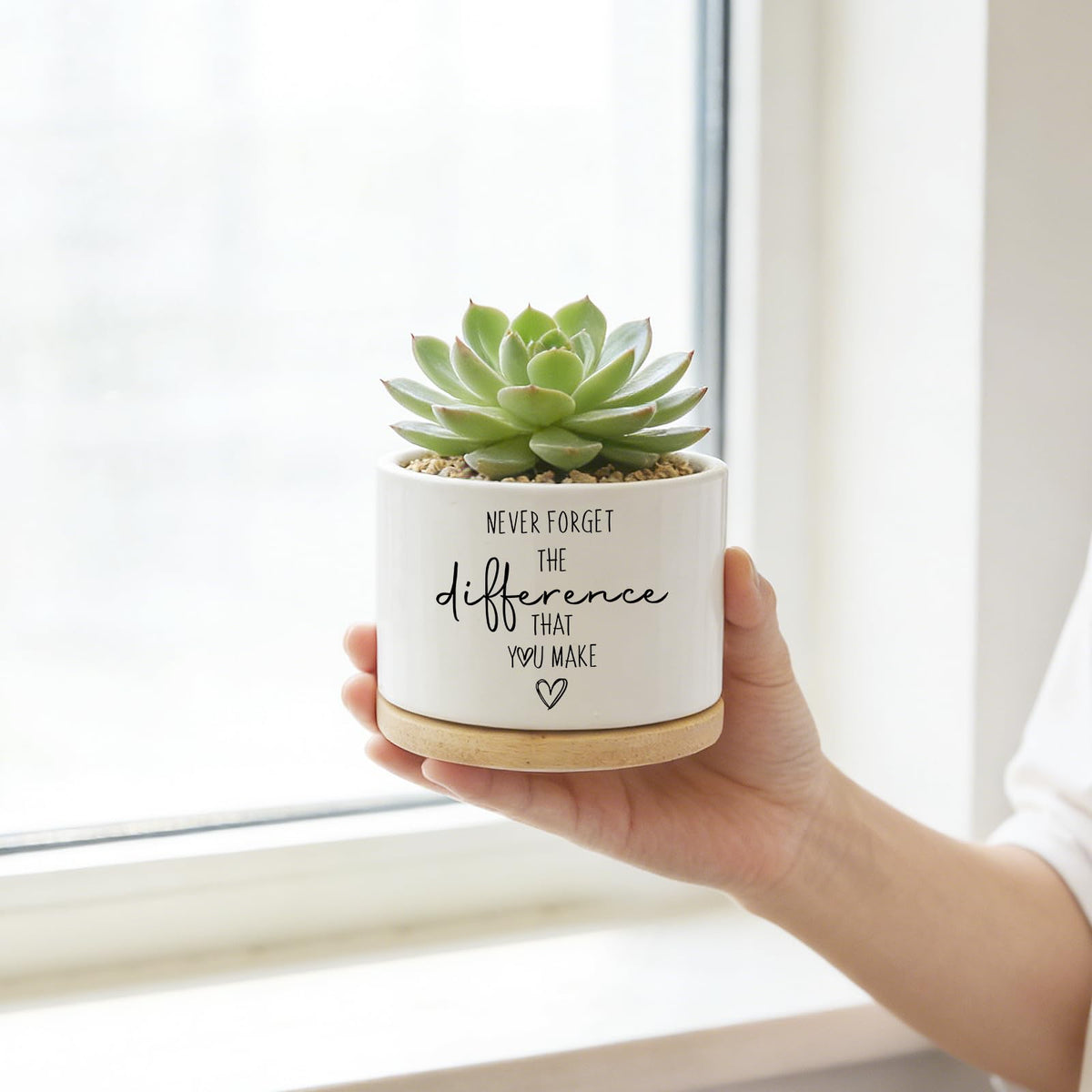 DOFAFALA planter packaged as a ready-to-gift designer present.