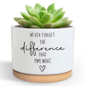 DOFAFALA planter on a desk, compact desktop décor for a cheerful workspace.