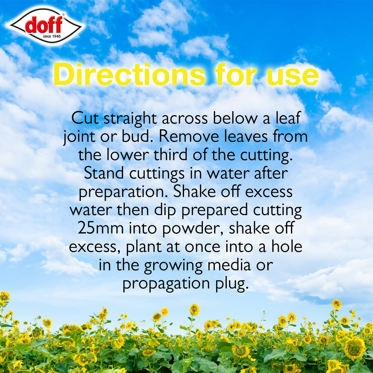 Doff Hormone Rooting Powder with cuttings showing growth potential