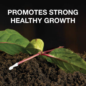 Doff Hormone Rooting Powder packaging designed for year-round propagation