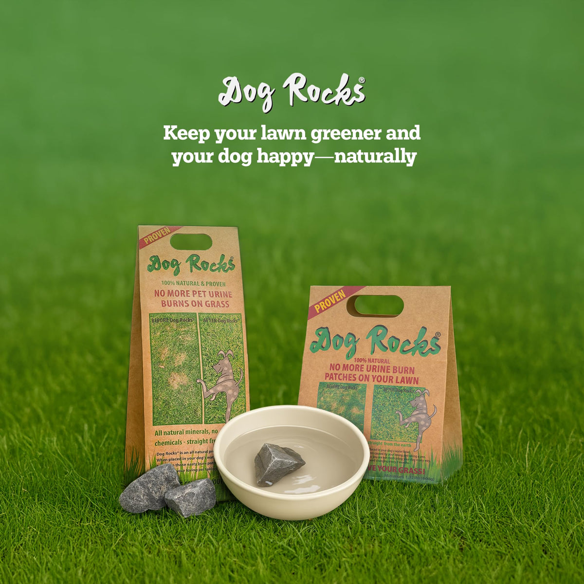 Garden scene with Dog Rocks and lush lawn.