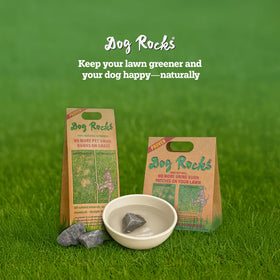 Garden scene with Dog Rocks and lush lawn.